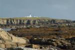 DSC02590.JPG