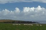 DSC02616.JPG