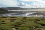 DSC02657.JPG