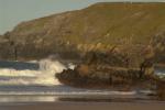 DSC02696.JPG