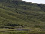 DSC02842.JPG