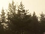 DSC06188.JPG