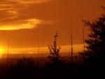 DSC06226.JPG